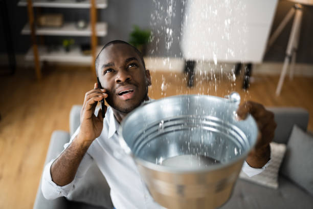 Best Carpet water damage restoration  in North Pearsall, TX