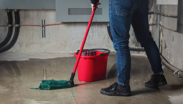 Best Basement water damage restoration  in North Pearsall, TX