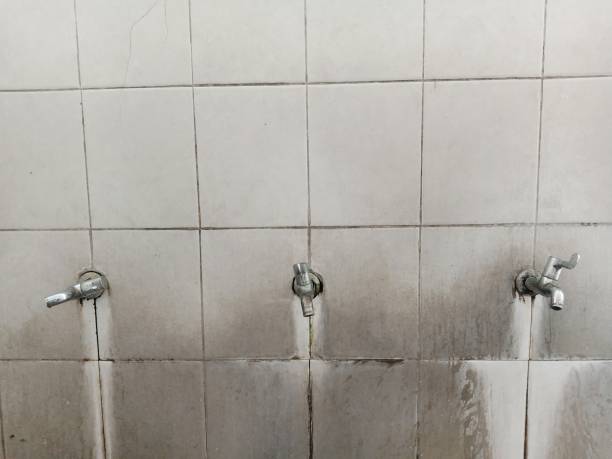 Best 24-hour water damage restoration  in North Pearsall, TX