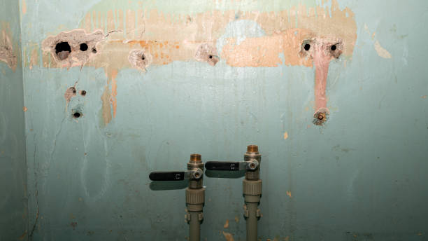 Best Emergency water extraction  in North Pearsall, TX
