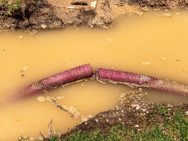 Best Commercial water damage restoration  in North Pearsall, TX
